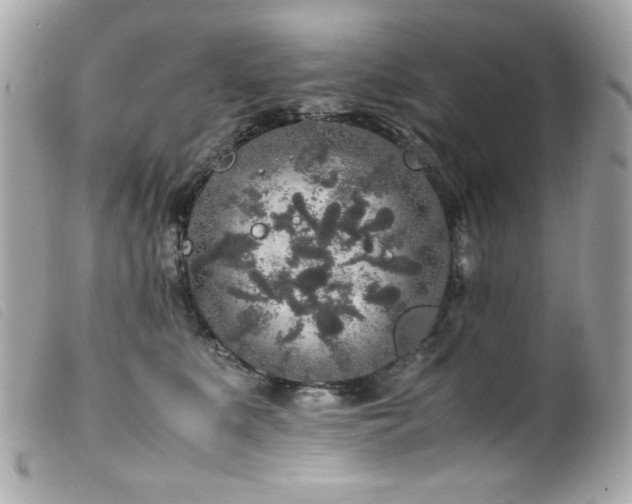 X0000100230519200805301415