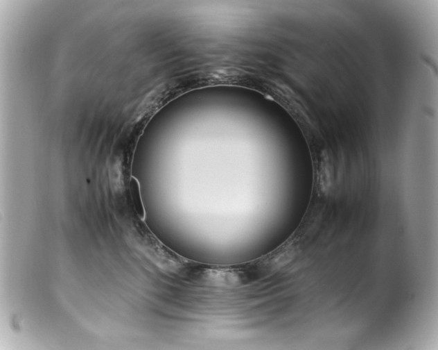 X0000100230520200805301415