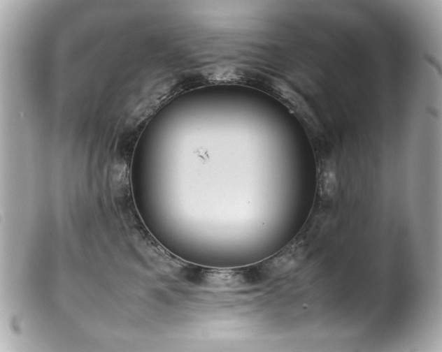 X0000100230521200805301415