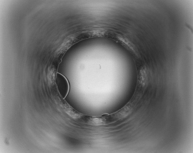 X0000100230522200805301415