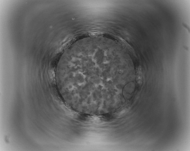 X0000100230523200805301415