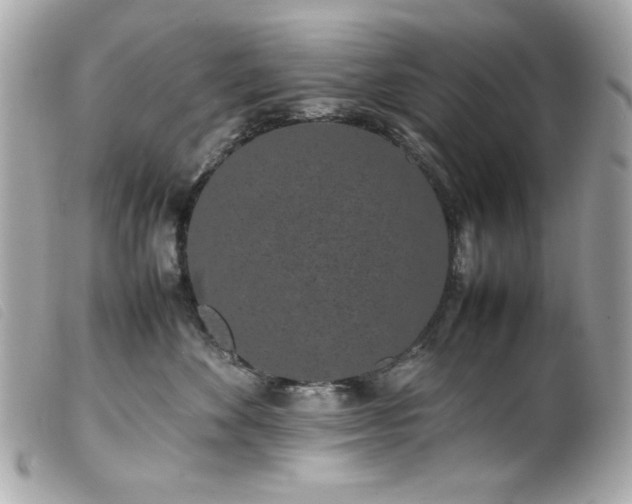 X0000100230524200805301415