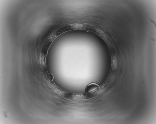 X0000100230525200805301415