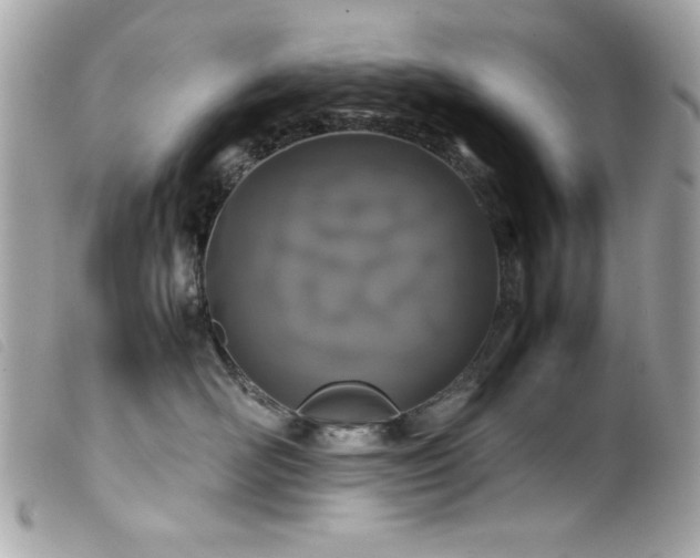 X0000100230526200805301415
