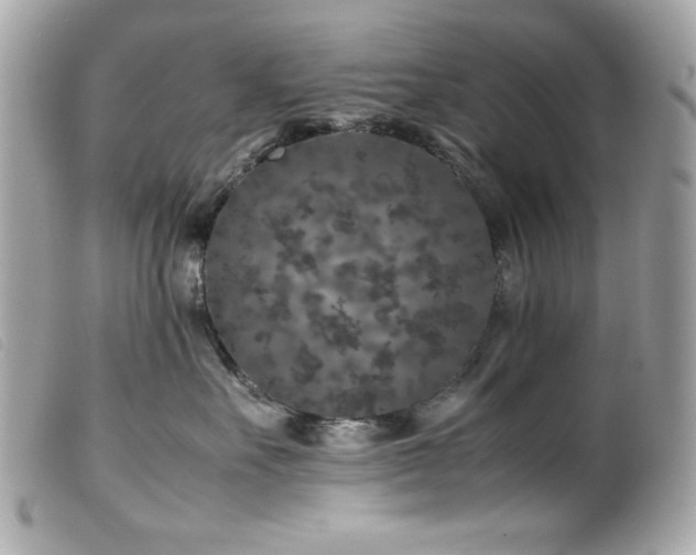 X0000100230527200805301415