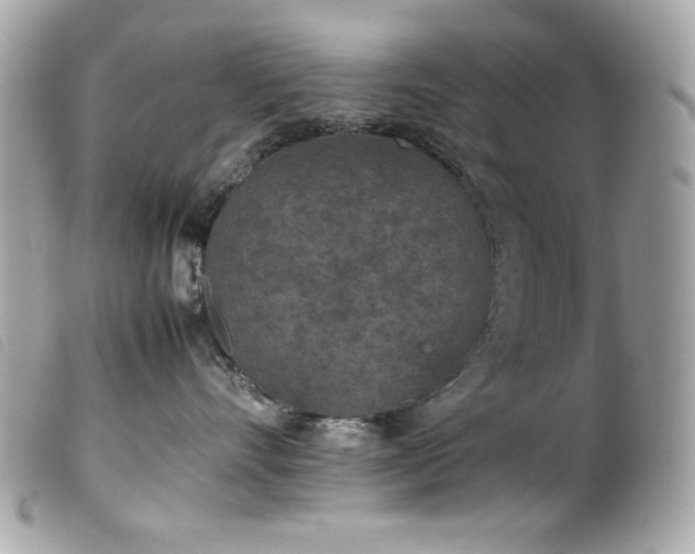 X0000100230528200805301415
