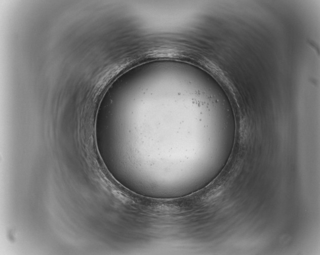 X0000100230529200805301414