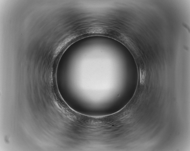 X0000100230531200805301414