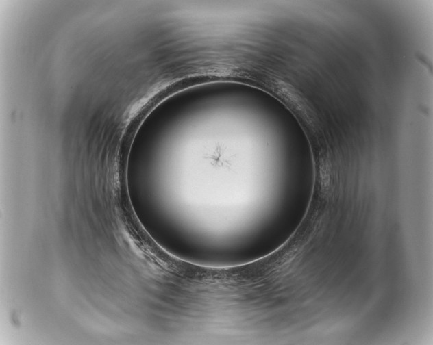 X0000100230532200805301414