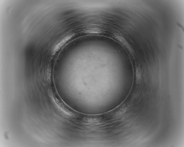 X0000100230533200805301414