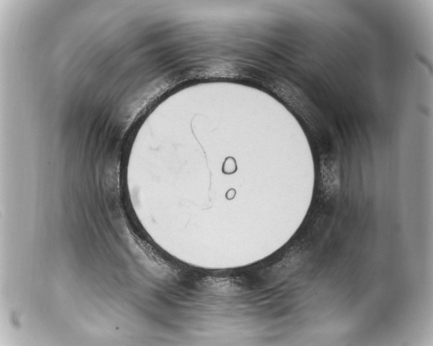 X0000100230534200805301414