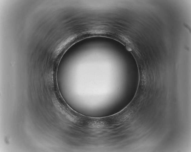 X0000100230535200805301414