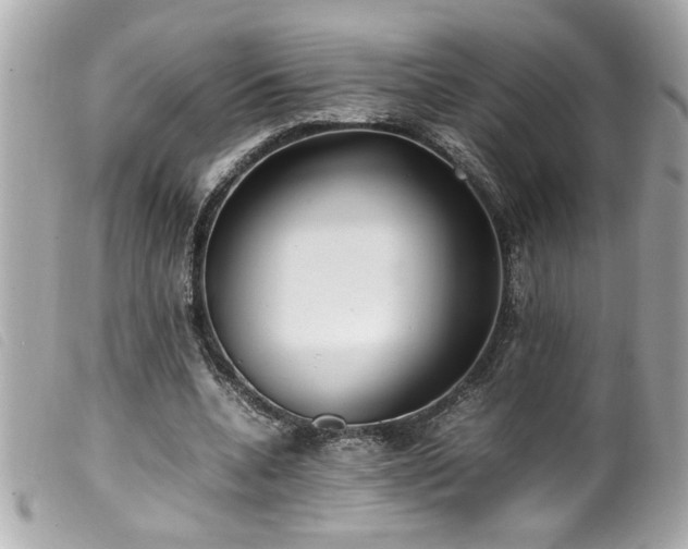 X0000100230536200805301414