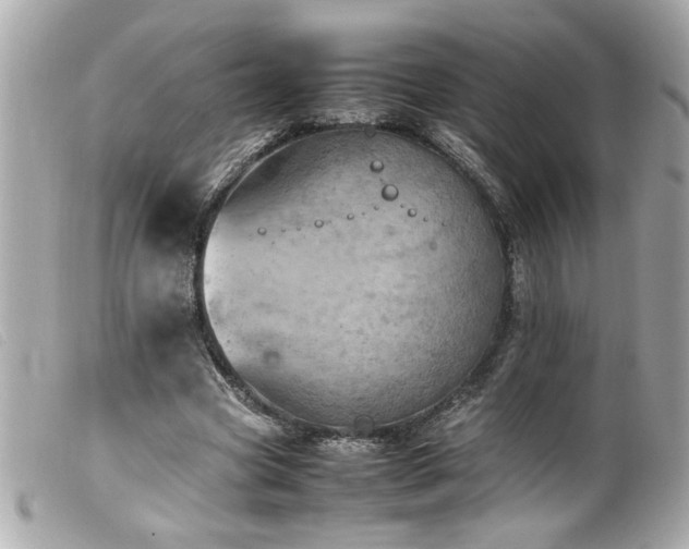 X0000100230537200805301414