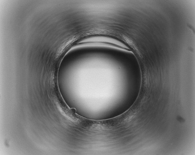 X0000100230538200805301414