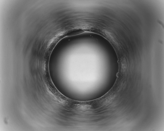 X0000100230539200805301414