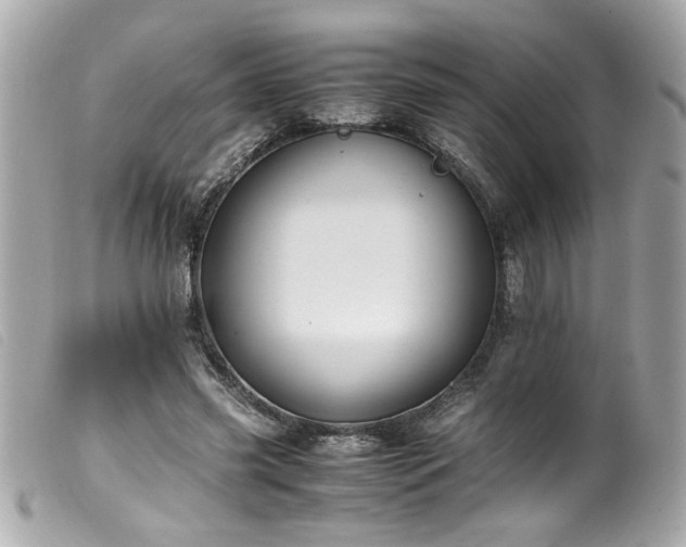 X0000100230541200805301414