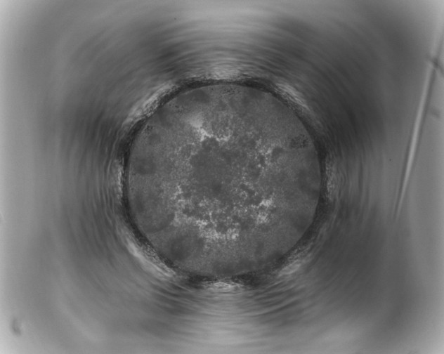 X0000100230542200805301414