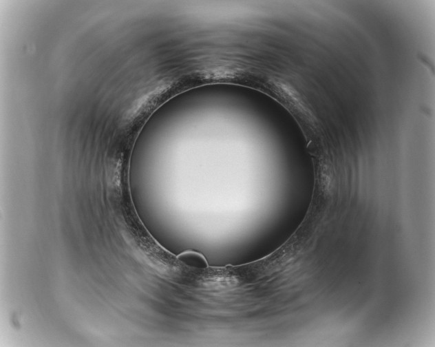 X0000100230543200805301414