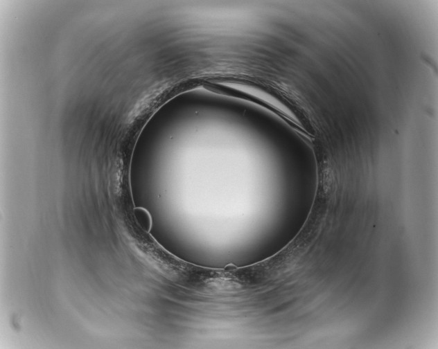 X0000100230544200805301415