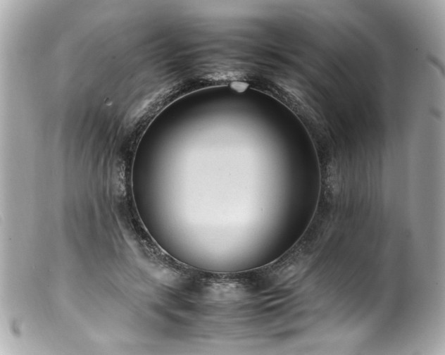 X0000100230547200805301415