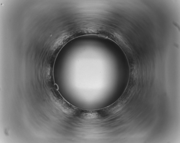 X0000100230548200805301415