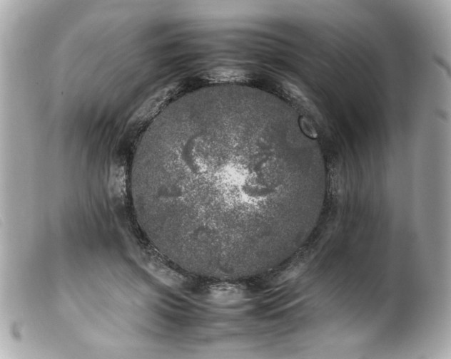 X0000100230549200805301415