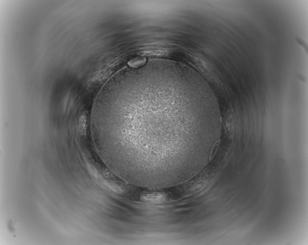 X0000100230551200805301415