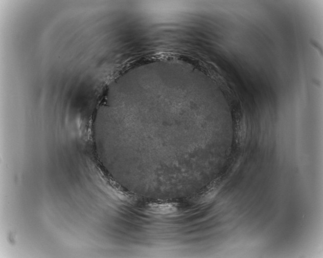 X0000100230553200805301415