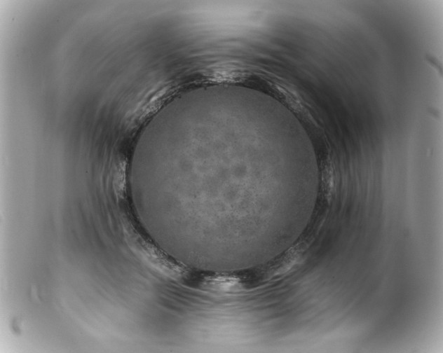 X0000100230554200805301415