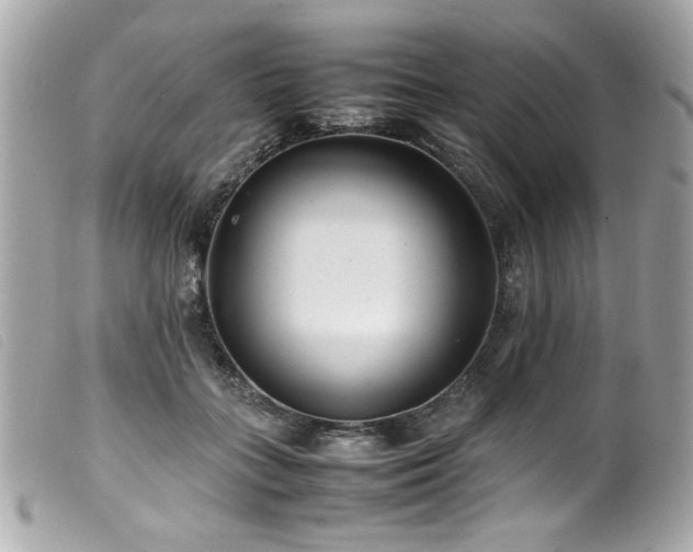 X0000100230555200805301415