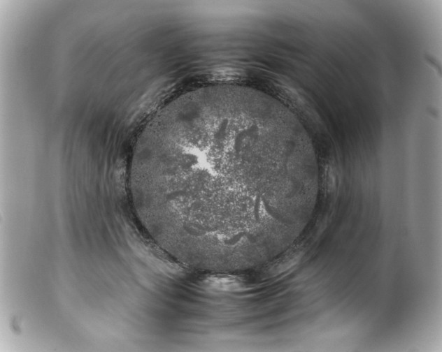 X0000100230557200805301415