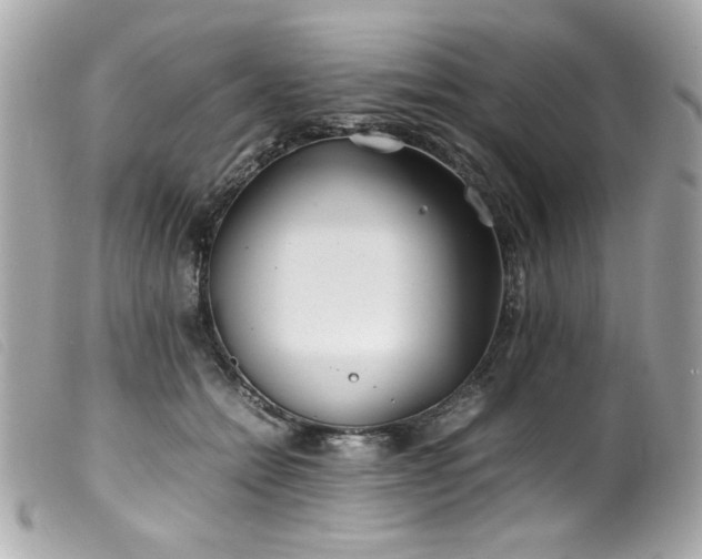 X0000100230558200805301415