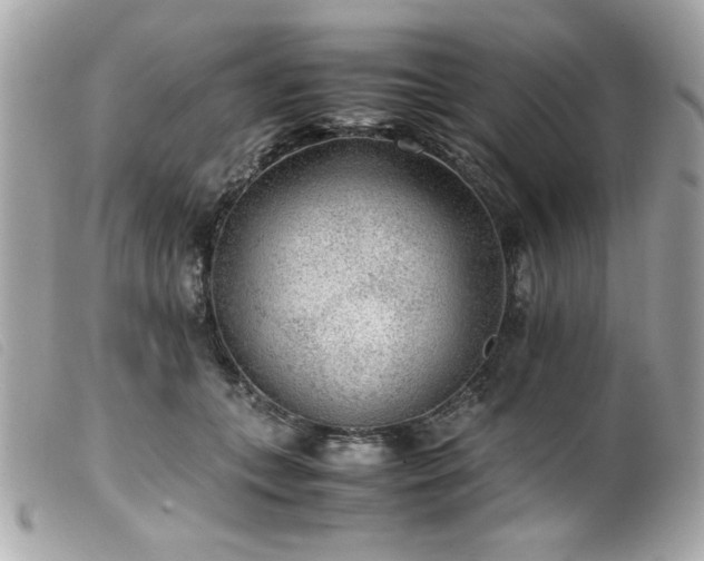 X0000100230559200805301415