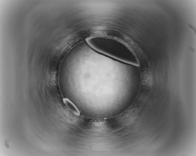 X0000100230560200805301415