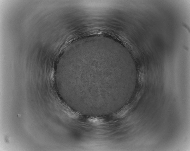 X0000100230561200805301415