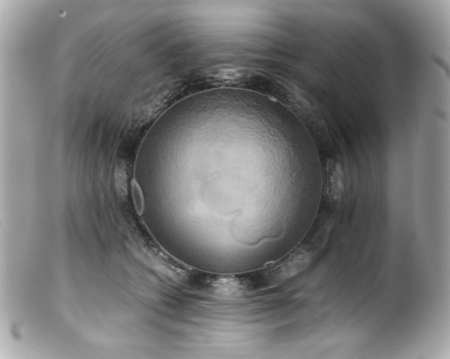 X0000100230562200805301415