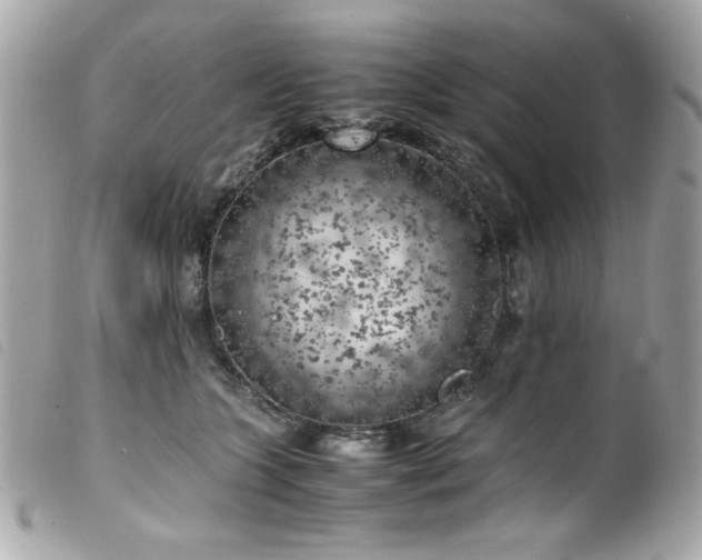 X0000100230563200805301415