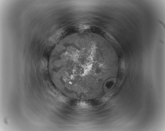 X0000100230565200805301415