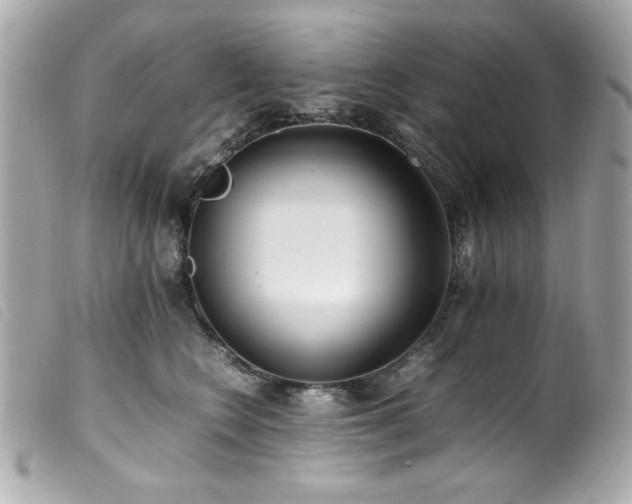 X0000100230566200805301415