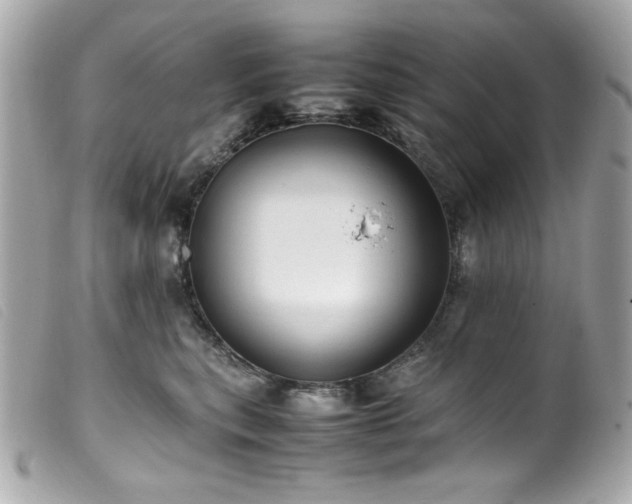 X0000100230567200805301415