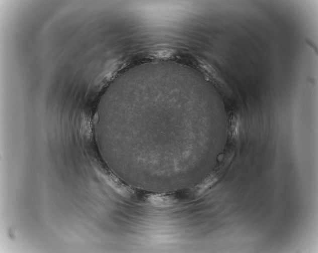 X0000100230568200805301415