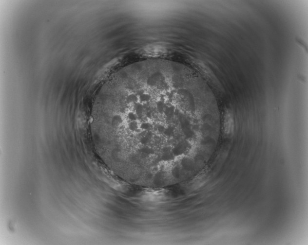 X0000100230569200805301415