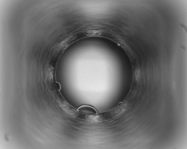 X0000100230570200805301415