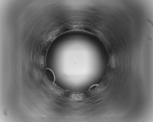X0000100230571200805301415