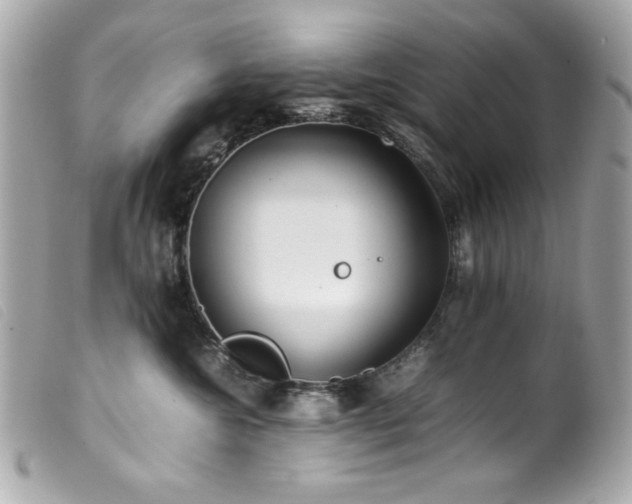 X0000100230572200805301415