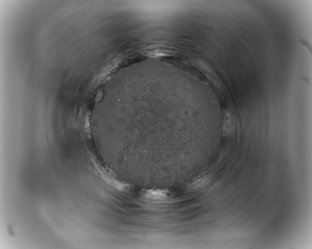 X0000100230573200805301415