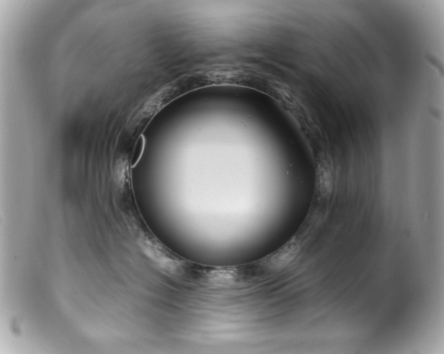 X0000100230574200805301415