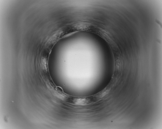 X0000100230575200805301415