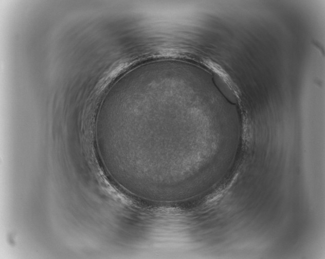 X0000100230577200805301414